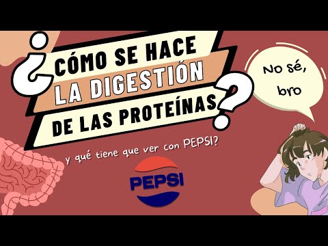 El lugar de la célula donde se almacenan los aminoácidos.