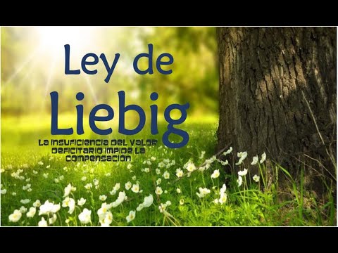 Principios Ambientales de Liebig y Shelford: Un Análisis en Profundidad