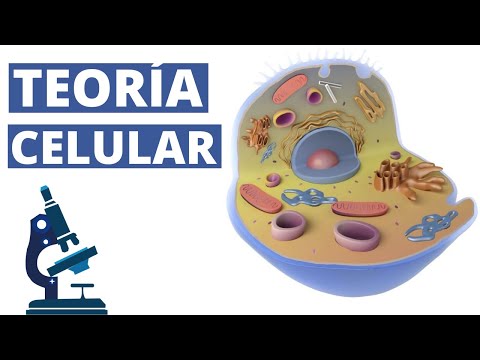 Origen de la célula y teoría celular: un fascinante estudio