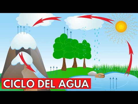 Ciclo hidrológico: la presencia de agua en la Tierra