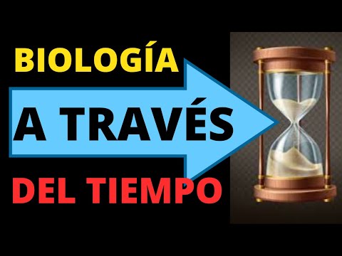 Línea del tiempo: avances de la biología a través de los años.