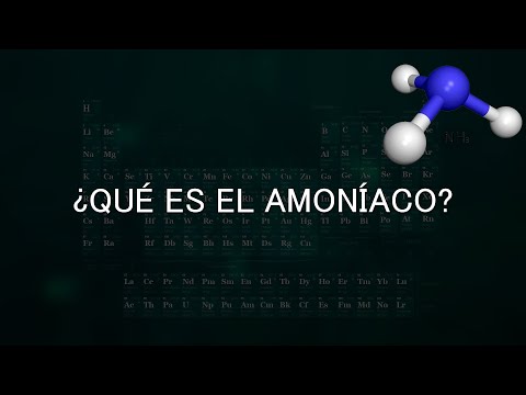 ¿Qué es el amoníaco en el cuerpo humano y su función?