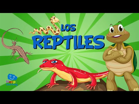 Reptiles: Características generales de estos fascinantes seres.