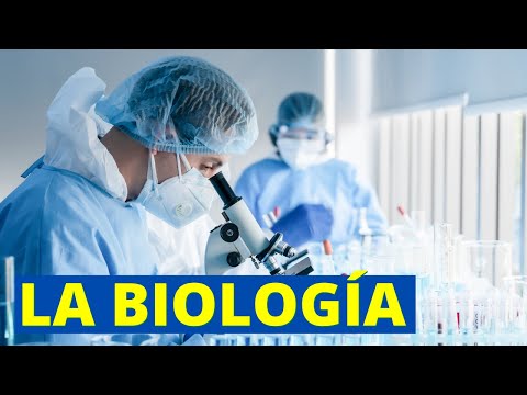 ¿En qué ayuda la física a la biología?