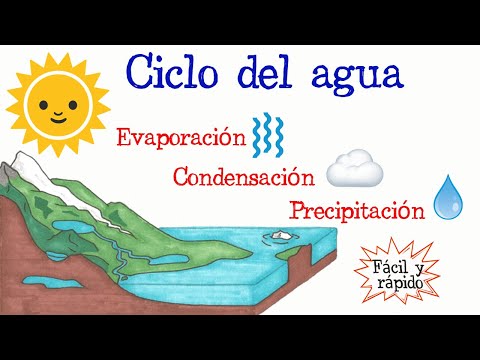 Factores que regulan el ciclo del agua: ¿cuáles son?