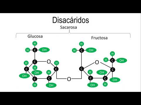 Tipos de carbohidratos: monosacáridos, oligosacáridos y polisacáridos.