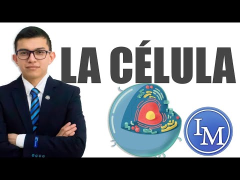 La sustancia coloidal del interior de la célula: solutos y organelos.