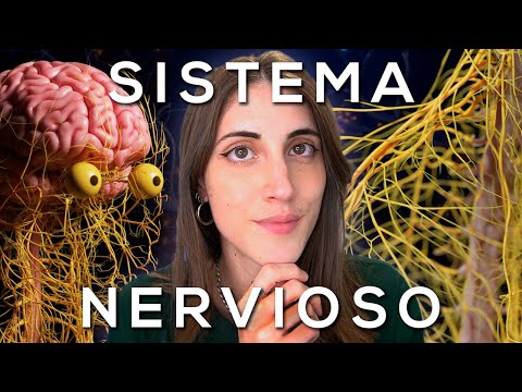 Cómo obtener la información del sistema nervioso de manera efectiva