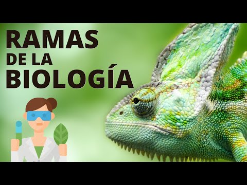 Collage de las ramas de la biología: un fascinante recorrido interdisciplinario