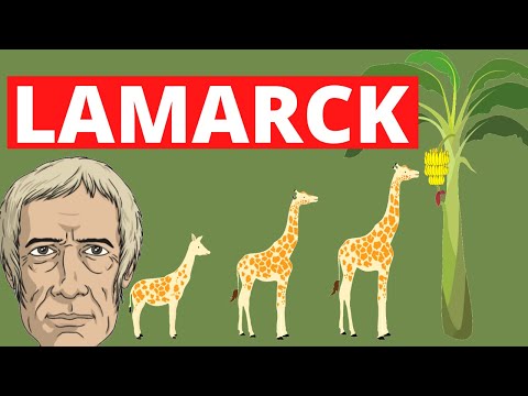 El animal que se utilizó para comprobar la hipótesis de Lamarck