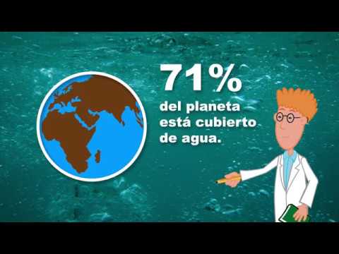 Distribución del agua en la superficie terrestre: un análisis profundo