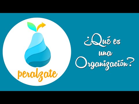 Qué son los sistemas de organización y cómo funcionan