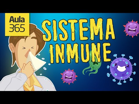 Sistema inmunológico: componentes y tipos de respuesta en el cuerpo.