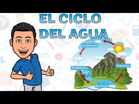 Las 4 fases del ciclo del agua para los niños