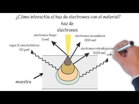 Descubre el microscopio electrónico de barrido y sus componentes.