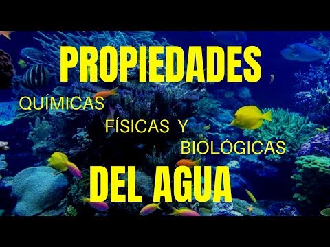 Propiedades físico-químicas y biológicas del agua: un análisis completo.