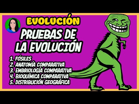 Las principales evidencias de la evolución biológica: un análisis completo