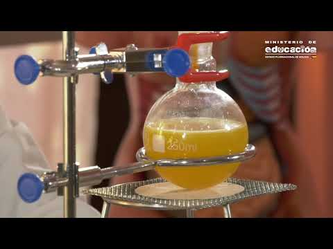 Obtención de etanol por fermentación: un proceso clave en la producción.