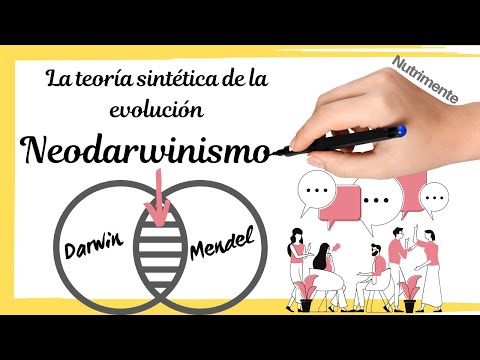 Características de la teoría sintética: Un enfoque esencial en biología.