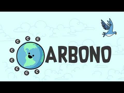 La importancia del dióxido de carbono en los seres vivos.