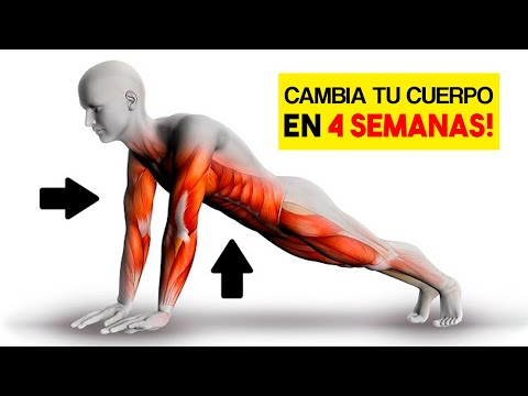 Esqueleto humano sin nombres: ideal para ejercicios físicos y prácticas
