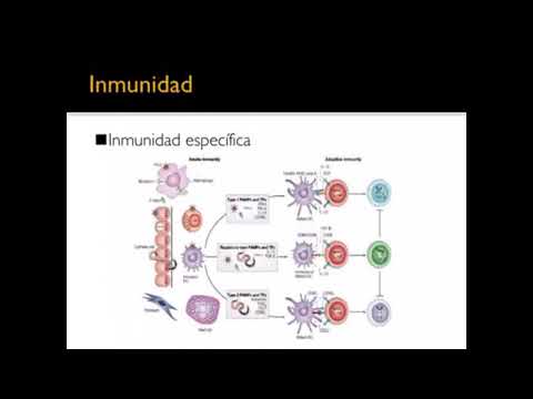 Principios y mecanismos de defensa e inmunidad: Un estudio revelador
