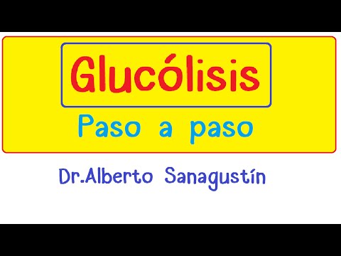 Proceso que oxida la glucosa y extrae su energía contenida