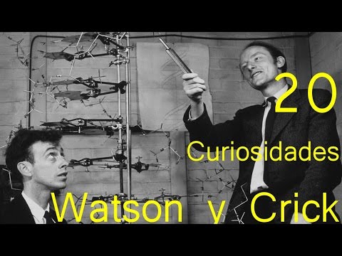 James Watson y sus aportaciones a la biología: un legado imprescindible