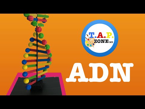 Cómo hacer una molécula de ADN en casa