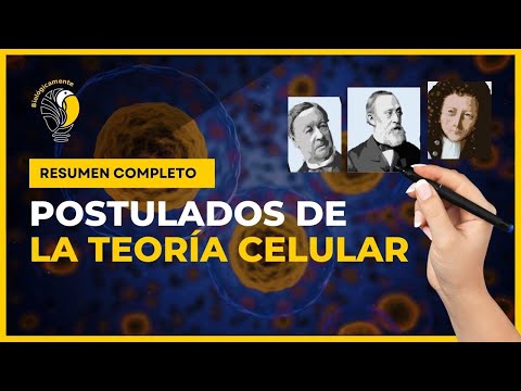 Evolución de la célula: línea del tiempo y cambios significativos