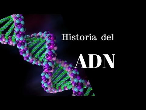 Científicos que propusieron el modelo de la molécula de ADN