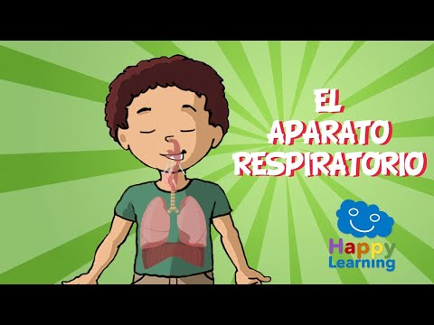 ¿Qué es el sistema respiratorio y cómo funciona en niños?