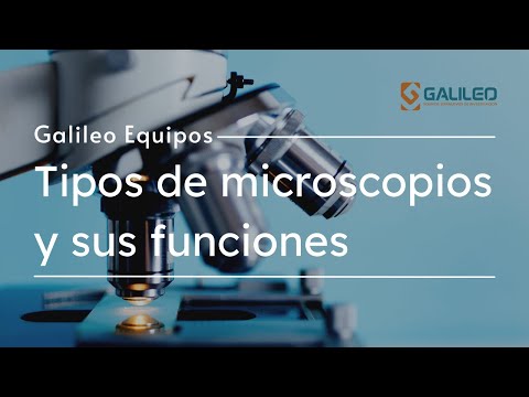 Funcionamiento de los principales tipos de microscopios: una guía completa