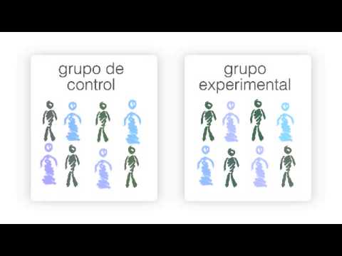 ¿Qué es un testigo referencia o grupo control en una investigación?