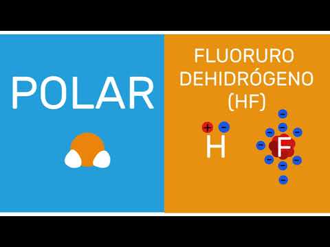 Cómo afecta la polaridad de las moléculas en formación de disoluciones