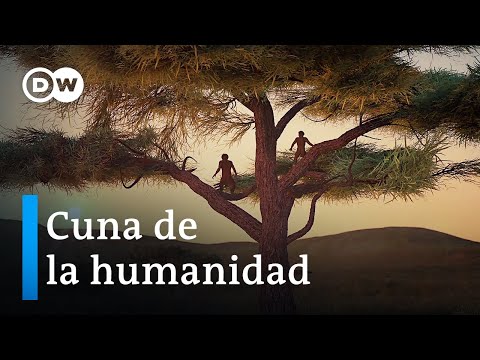 Teoría sintética de la evolución humana: descubriendo nuestros orígenes.