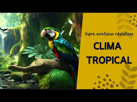 Qué plantas hay en el clima tropical?