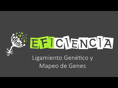 La importancia de los mapas genéticos en la investigación