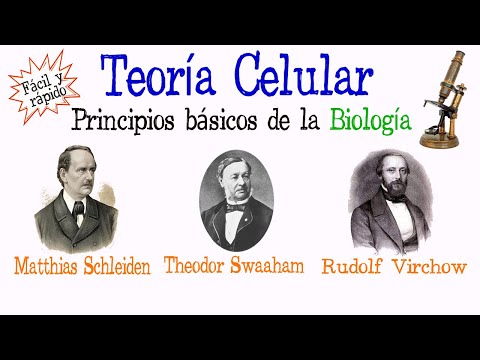 El proceso histórico de la teoría celular: un recorrido esencial.