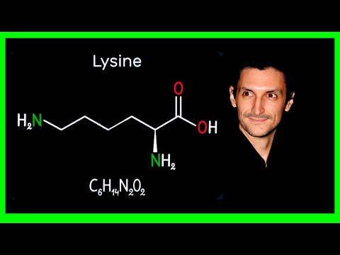 La lisina: su función en el cuerpo humano y beneficios.