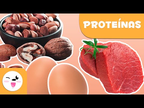 De dónde toman las células las proteínas para crecer?