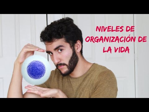 La Importancia de los Niveles de Organización en la Vida