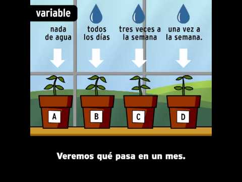 Experimentación del método científico: ejemplos de su aplicación.