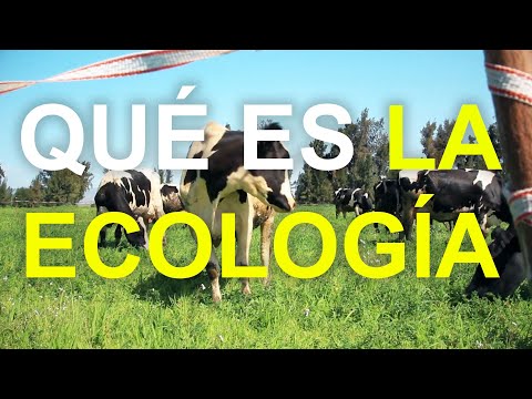 Ciencias relacionadas con la ecología y por qué son importantes