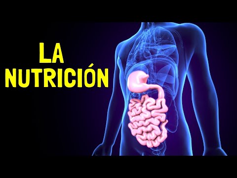 Proteínas: Importancia vital en la salud y bienestar del ser humano