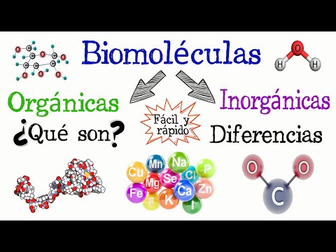 La molécula del agua: ¿orgánica o inorgánica?