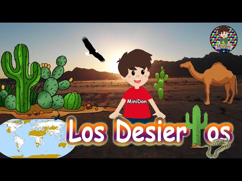 Características del desierto, una guía amigable para los niños