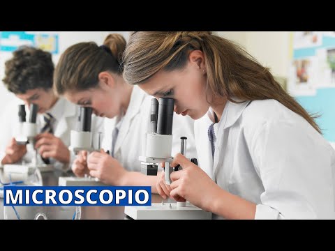 El microscopio caricatura y sus partes: una visión amplificada.