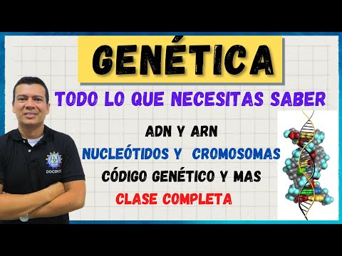 ¿Qué es el código genético en biología y su función?