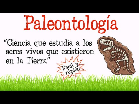 Definición de paleontología en biología: el estudio de fósiles.